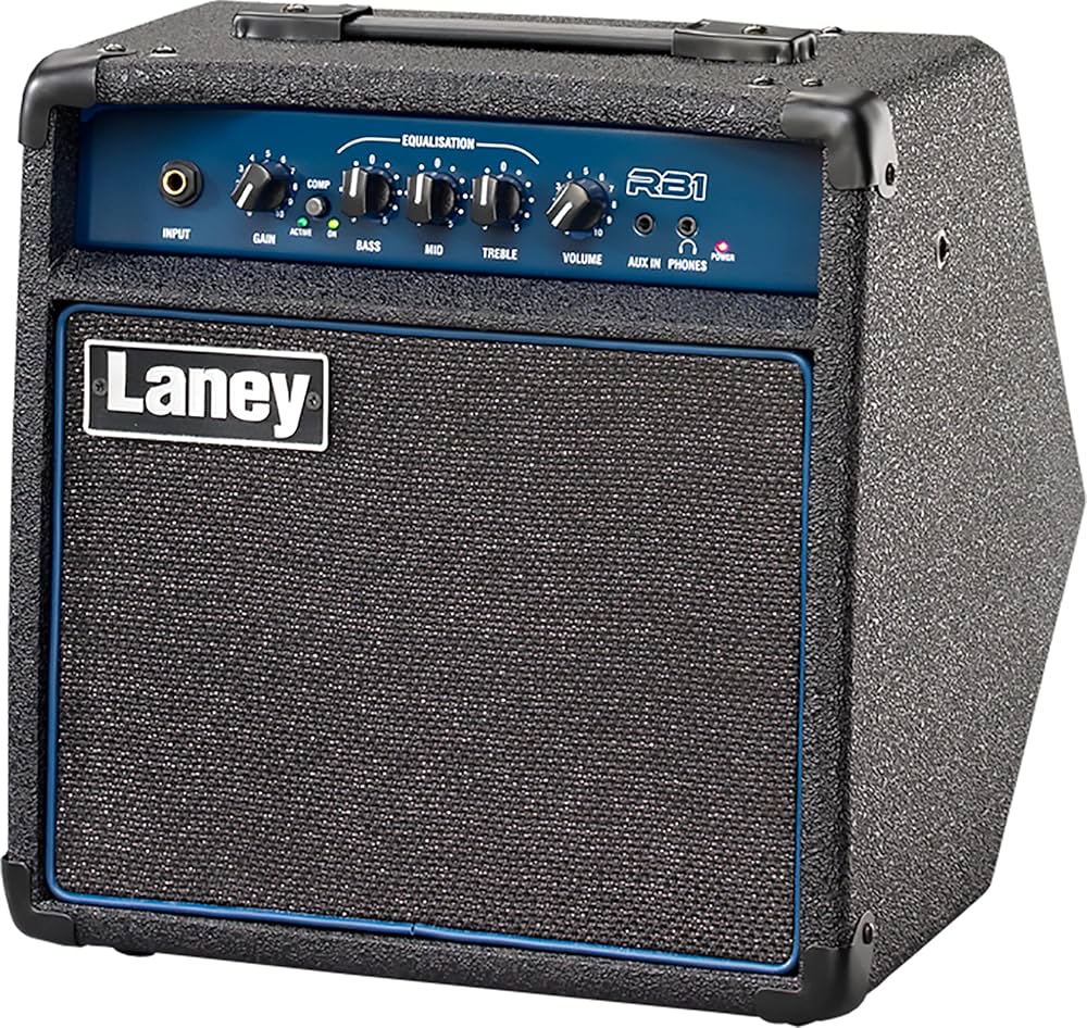 Amazon.com: Laney Richter RB1 Bass Guitar Combo 15W 8 Inch